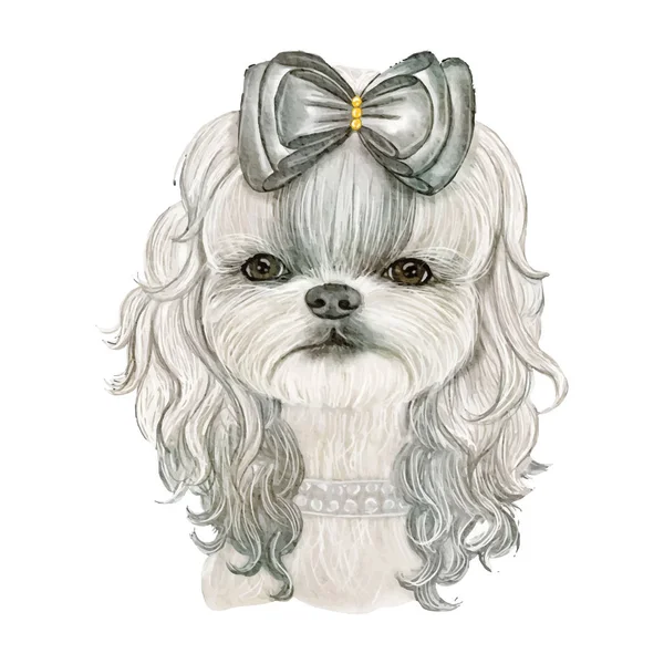 Adorable lindo perro con pelo rizado con cinta acuarela ilustración — Archivo Imágenes Vectoriales