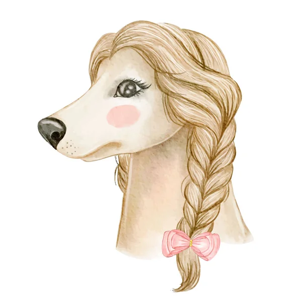 Cute dog afghan hound with hair braided ribbon — Stock Vector