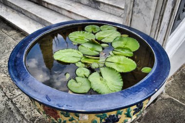 Bangkok, Tayland 11.24.2019: Büyük Saray 'daki Zümrüt Buda Tapınağı' nın (Wat Phra Kaew) bir yansıması olan süslü, geleneksel bir Tayland modülünde Lily pedleri