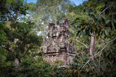 Phimeanakas Tapınağı Angkor Wat 'ın antik kalıntılarının arasında.