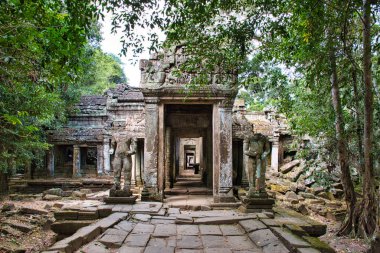 Preah Khan Tapınağı, Angkor Wat Hindu tapınağının 12. yüzyılda babasının anısına inşa edilen Siem Reap, Kamboçya 'daki antik kalıntıları arasındadır.