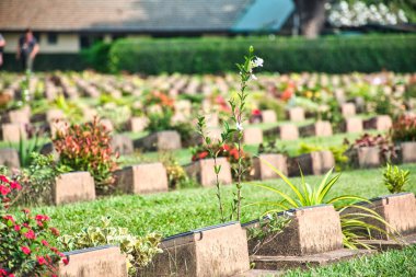 Kanchanaburi, Tayland 12.28.2019: Kanchanaburi Savaş Mezarlığı veya Don-Rak Savaş Mezarlığı, Burma Demiryolu inşaatı sırasında Japon esirleri için savaş esiri (POW) mezarlığıdır..