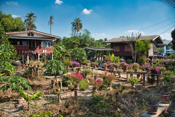 Koh Kret Thailand 2020 Vacker Naturskönt Välskött Välskött Blomsterträdgård Ett — Stockfoto