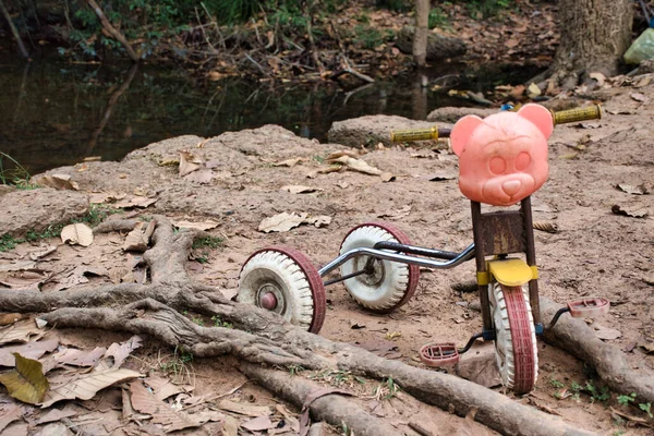 Old Ruined Lone Left Child Tricycle Pink Bear Head Roots — Stock Photo, Image