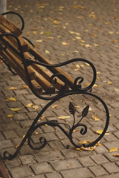 Vintage street bench with autumn leaves