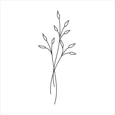 Fikirlerin için zarif bir dal.