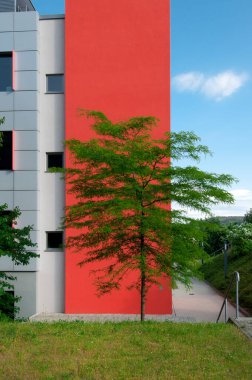 ağacın önünde modern bir binanın köşesindeki bir özellik duvar