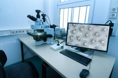 Modern microscope station with zebrafish embryos on the screen clipart