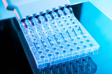 pcr reaksiyonu ile dna analizi için araçları, multipipette ve 96-iyi plaka