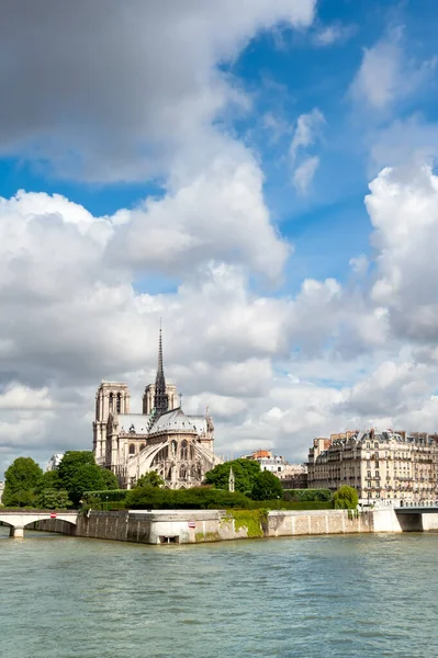 Vista Ile Cite Incluyendo Catedral Notre Dame Desde Otro Lado —  Fotos de Stock