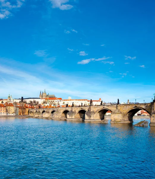 Charles Bridge Vitus Cathedral Other Historical Buildings Prague Vertical Panorama — Stock Photo, Image