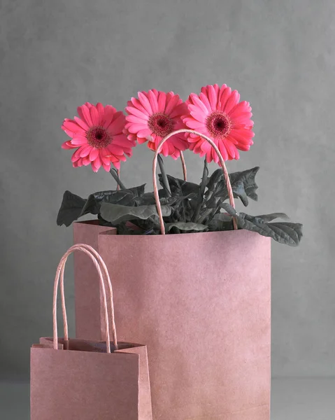 Koralle Gerbera Gänseblümchen Blumen Und Handwerk Papper Einkaufstüten Auf Grünem — Stockfoto
