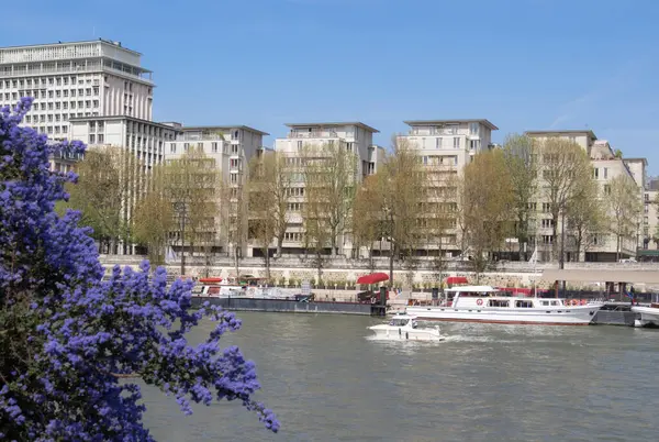 Bahar Paris Modern Binalar Nehir Tekne Görüntülemek Önünde Mor Çiçekli — Stok fotoğraf