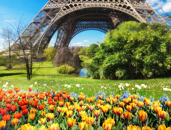 在春天的一个阳光灿烂的日子里 巴黎的埃菲尔铁塔 前面是郁金香和百合花 — 图库照片