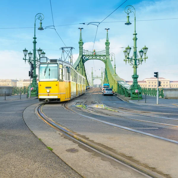 Eléctrico Histórico Freedom Bridge Budapeste Hungria Num Dia Brilhante — Fotografia de Stock