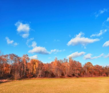 Sonbahar ormanlı alan, panoramik görüntü