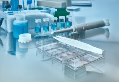 Histopatolojiyle ilgili sunum için bulanık bir arkaplan. Cam üzerinde lekeli doku örnekleri, sabitlenmiş doku, otomatik pipet ve işle ilgili diğer aletler. Tonu ayarlanmış resim, metin alanı. 