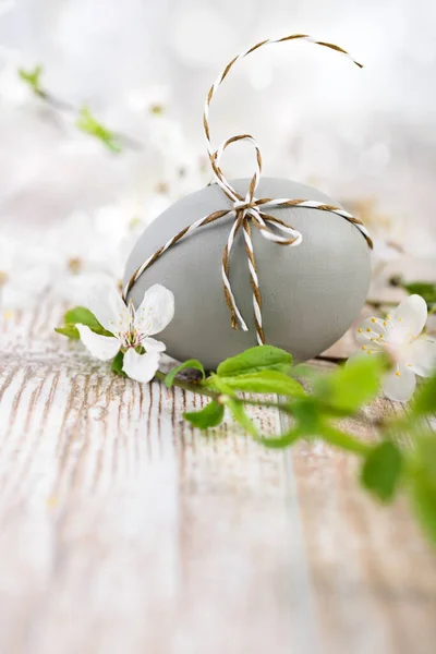 Easter Egg Plum Blossoms Natural Background Text Space — Stock Photo, Image