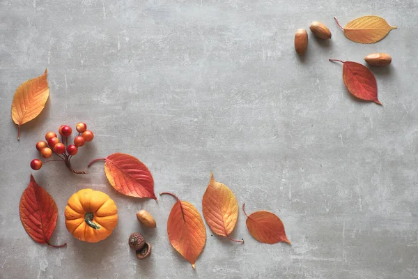 Hösten Bakgrund Grå Och Orange Wecorative Pumpa Ekollon Bär Och — Stockfoto