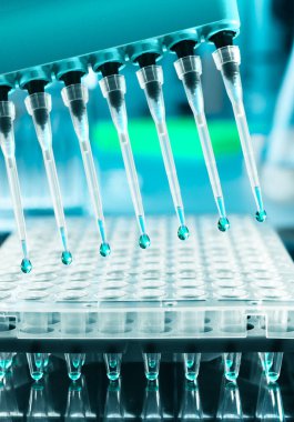 dna amplifikasyon, bilimsel arka plan için Araçlar