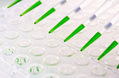 dna analizi için bir plaka üzerinde yüklü multipipette