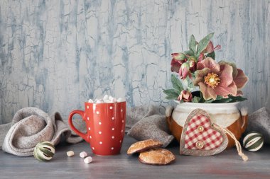 Kış zamanı, bataklıklı sıcak çikolata, anemon çiçekleri, hea