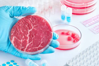 Mod açık tek kullanımlık plastik hücre kültür çanak et örneği