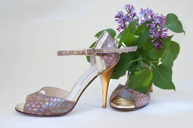 Baharda Arjantin tangosu