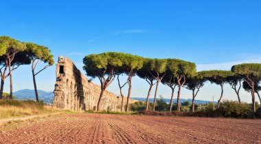 Villa Quintili: Roma, İtalya 'daki su kemerinin kalıntıları