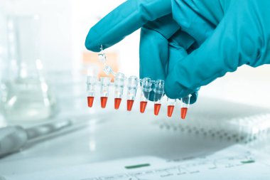 plastik tüpler dna amplifikasyon için hazırlanan