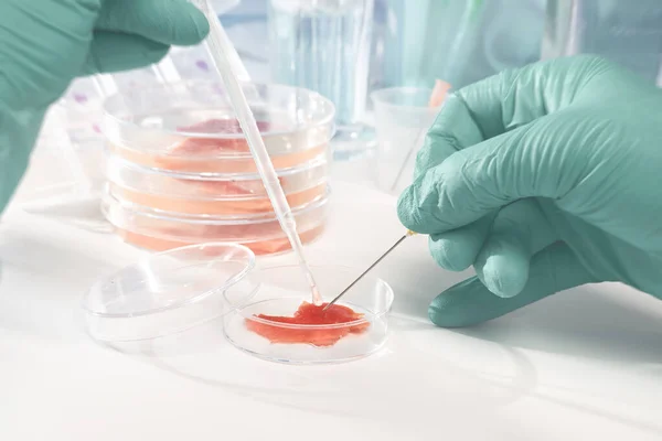 Carne cultivada en condiciones de laboratorio — Foto de Stock