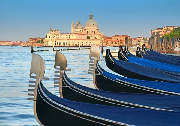 Gondolas on Grand Canal with Basilica Santa Maria della Salute i — стокове фото