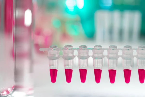 Primer plano de tubos de plástico para análisis de ADN con PCR — Foto de Stock