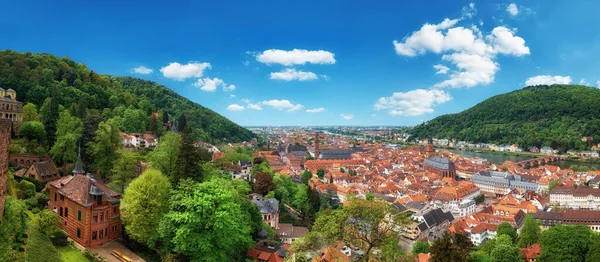 Vakre Tyskland, panoramautsikt av Heidelberg om våren – stockfoto