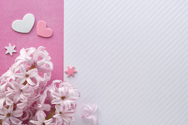 Розовый жемчуг гиацинтовые цветы на цветном бумажном фоне с дек
