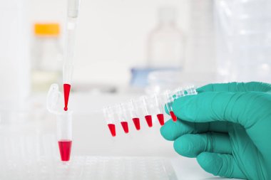 pcr reaksiyon dna analiz etmek için kırmızı örnekleri ile plastik tüpler