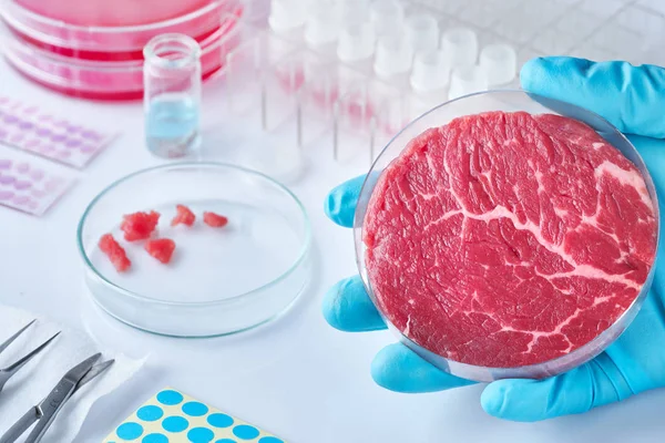 Köttprov Öppen Disponibel Plast Cellkultur Skålen Moderna Laboratorium Eller Produktionsanläggning — Stockfoto