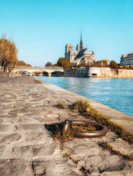 Paris Panorama River Notre Dame Cathedral Bright Day Autumn Image — Stock Photo, Image