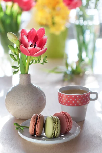 Tavaszi Kávé Háttér Rózsaszín Tulipán Frézia Eszpresszó Macaron Elöl Tavaszi — Stock Fotó