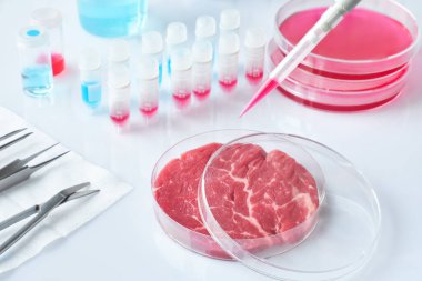 Modern laboratuvar veya üretim tesisinde açık tek kullanımlık plastik hücre kültür çanak et örneği. Hayvan somatik hücrelerden in vitro kültürlenmiş temiz et kavramı.