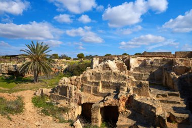 Kralların Mezarları, Paphos kentindeki arkeoloji müzesi, Kıbrıs