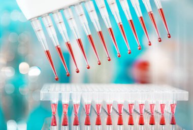 çok kanallı pipet ve dna amplifikasyon, sığ dof multiwell plaka