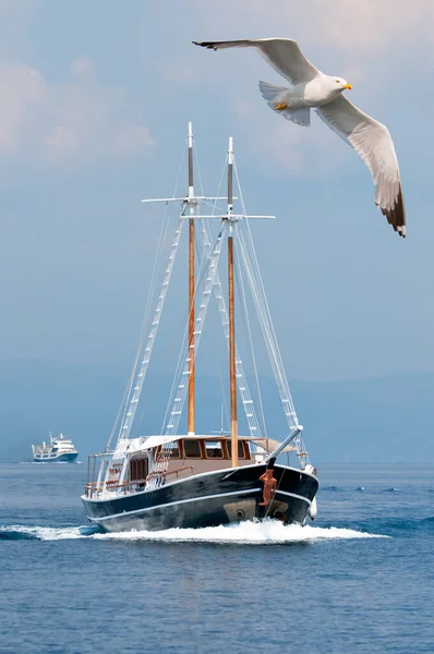 Touristic Boat Follows Seagull Aegean Sea Greece — Stock Photo, Image