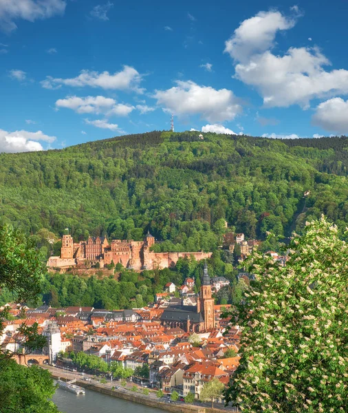 Heidelberg Ruinene Heidelberg Slott Heidelberger Schloss Våren Bildet Ble Tatt – stockfoto