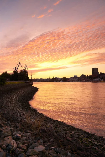 Puerto Hamburgo Atardecer Alemania Grúas Transporte Mercancías — Foto de Stock