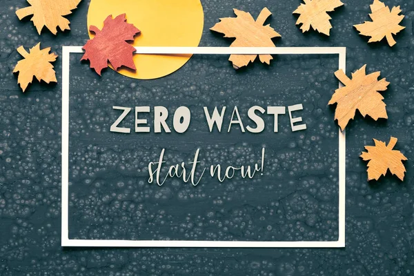 Zero Waste Start Now Text Autumn Background Flat Lay Dark — Stock Photo, Image