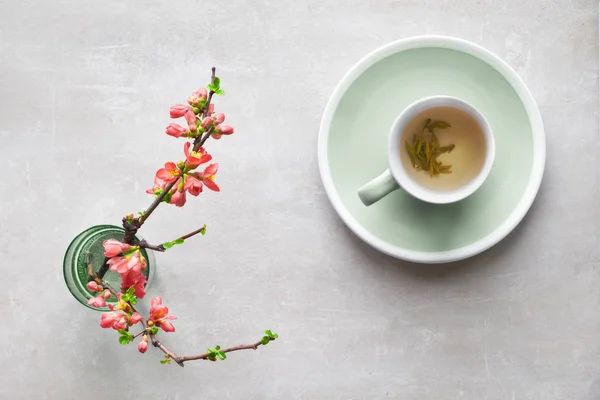 Jarní Byt Ležel Šálek Zeleného Čaje Japonské Quince Květiny Šedém — Stock fotografie