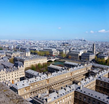 Paris 'in çatıları Notre-Dame Katedrali' nin kulesinden fotoğraflandı. Hava görüntüsü, mesajın için yer. Bu resim tonlandırılmış.