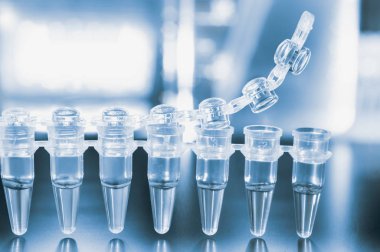 pcr ile dna amplifikasyon için tüpler 