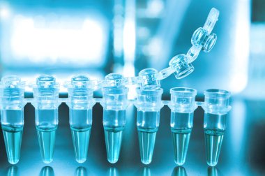 pcr ile dna amplifikasyon için tüpler 